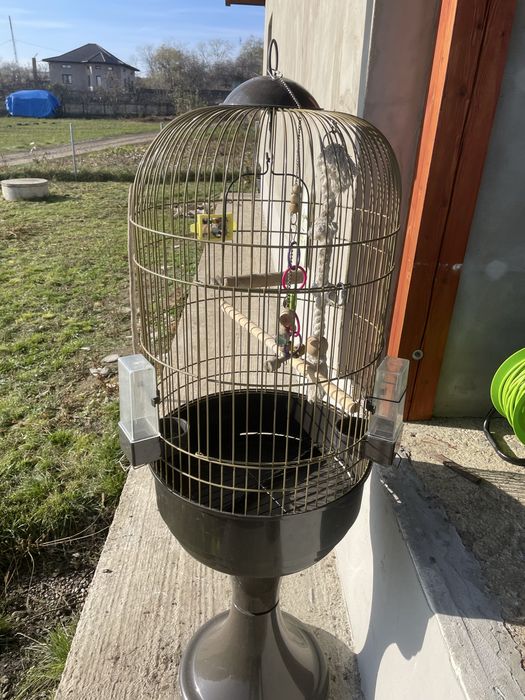 Cusca pentru papagali mare