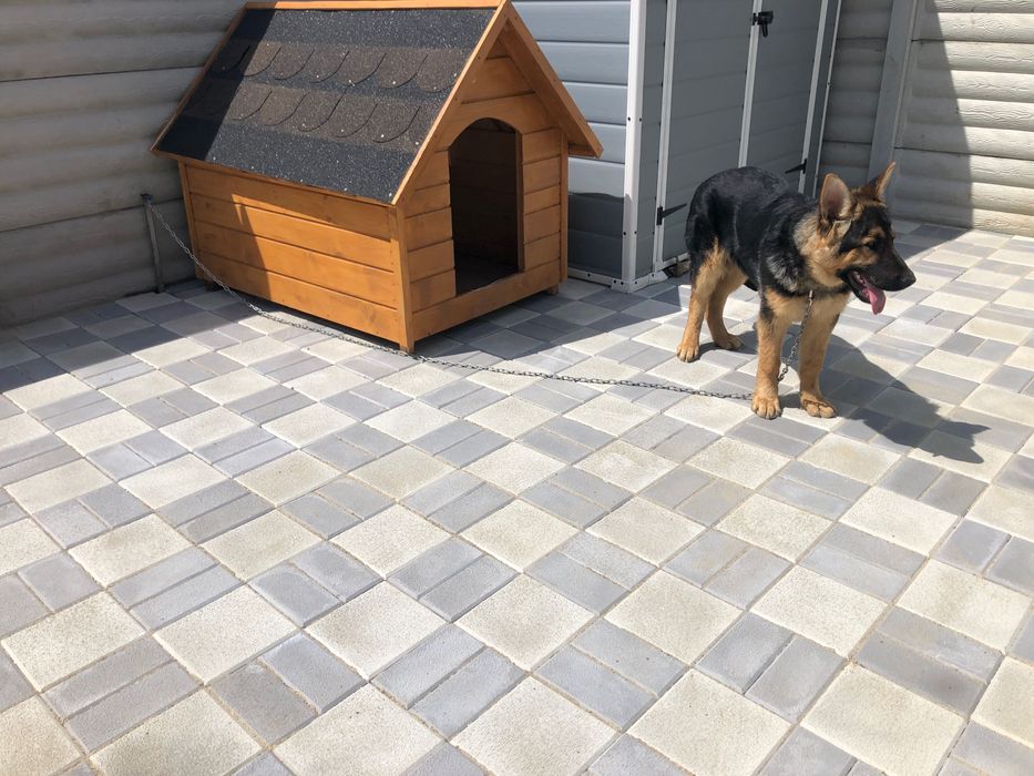 Pavaj, Pavele, Borduri. Pentru gradina.  Montaj pavaj