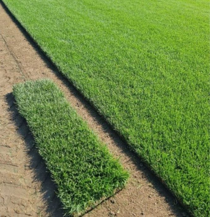 Gazon rulou cu sistem automatizat