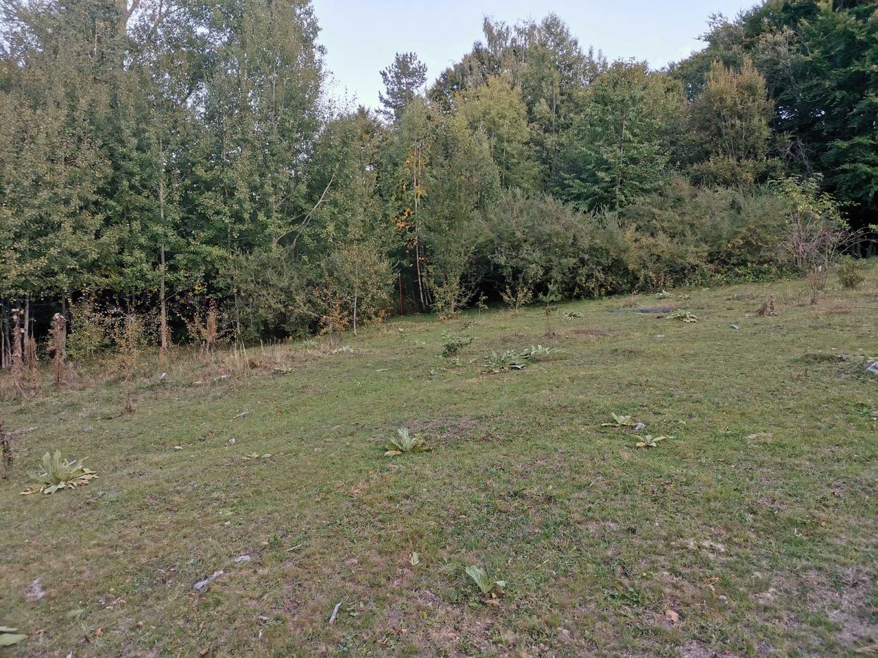 Продава се Парцел в Разлог - 300 кв.м за 30 €/кв.м - Снимка #4