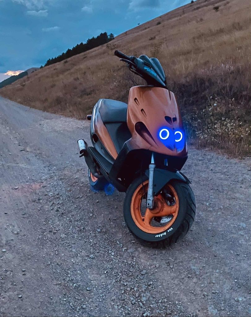 Vând malaguti  f12 ful polini