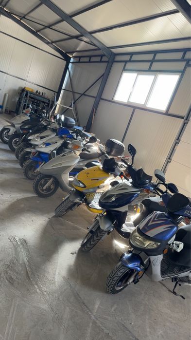 Scuter 125, Scuter 49, Yamaha, Pegasus, Aprilia