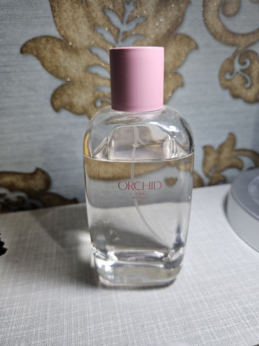 Orchid ZARA bloom 01