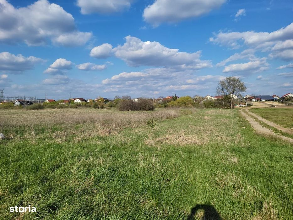 Teren intravilan in Cihei de vanzare