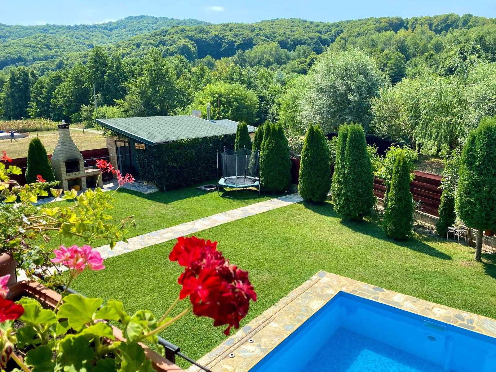 Vand vila cu piscina in Budesti, Valcea