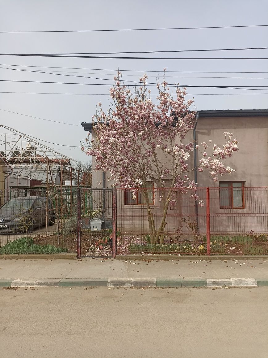 Vând casă p+m in Lazu/schimb