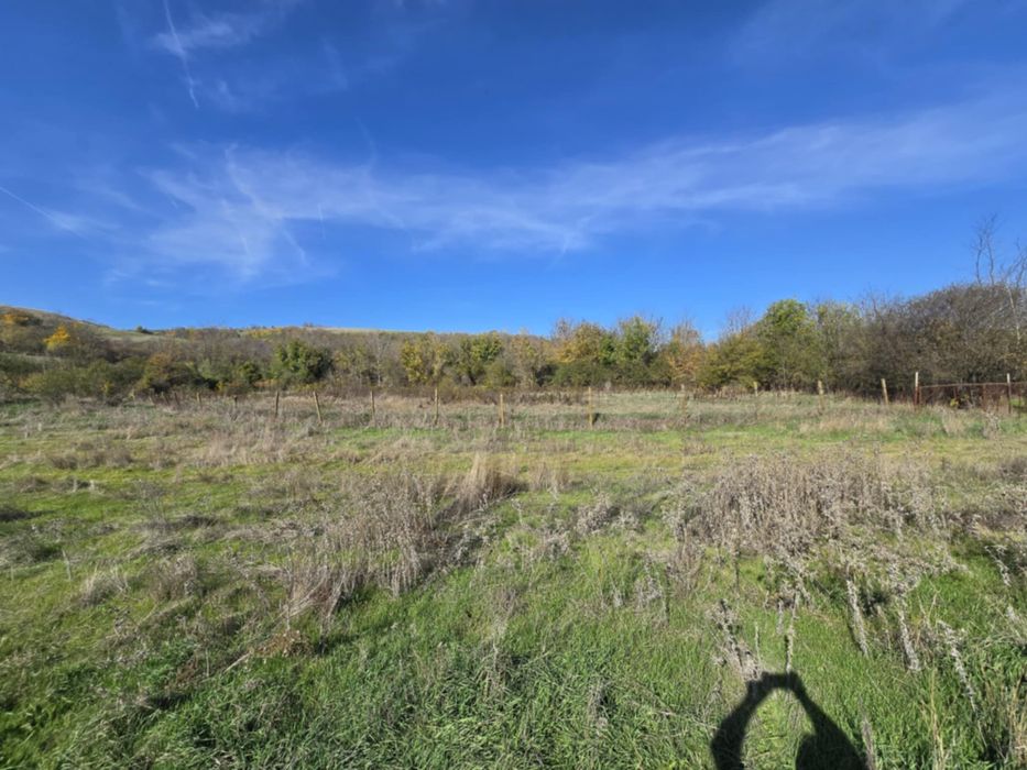 ИМОТИ Силистра представя дворно място в с. Гарван