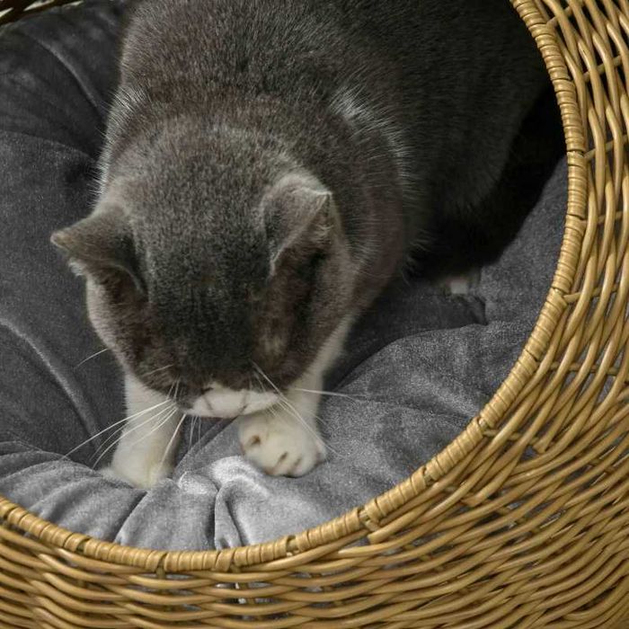 Котешка легло PawHut с миеща се възглавница, за животни до 4 кг