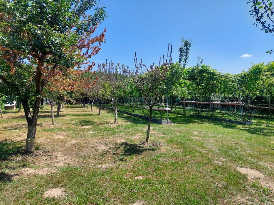 Teren intravilan 2158mp – Tropinii Noi, Sibiu– lângă Pădurea Dumbrava