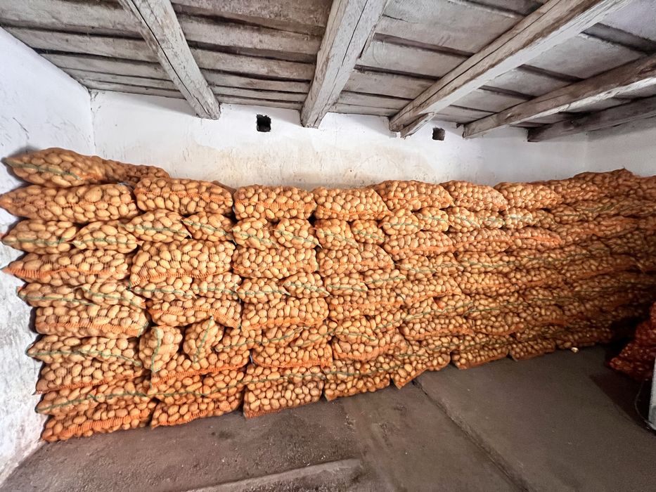 Vând cartofi consum , sãmânța și cartofi pentru animale , încantități