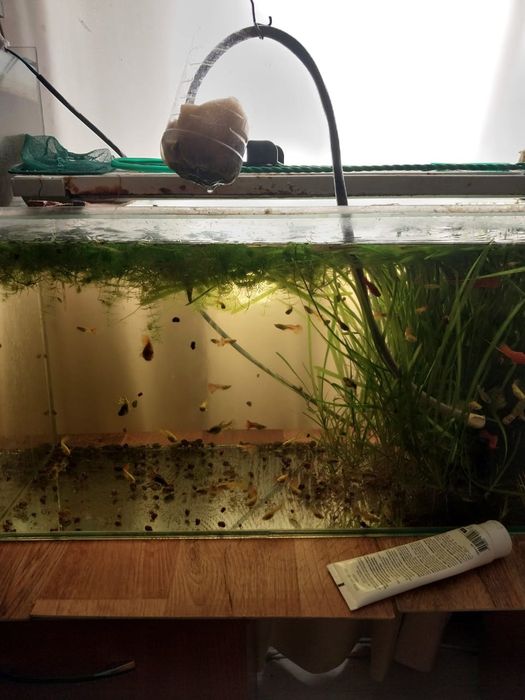 Продажа оквариума