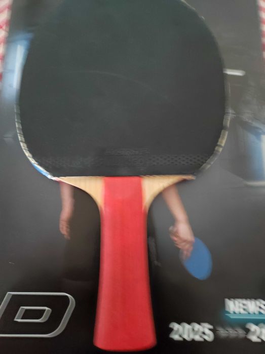 Paleta Tenis de Masa