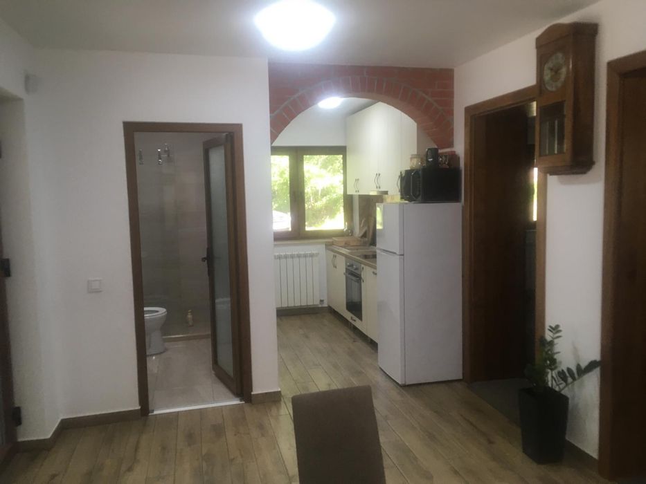 Cabana de inchiriat revelion si alte date in Stana de Vale