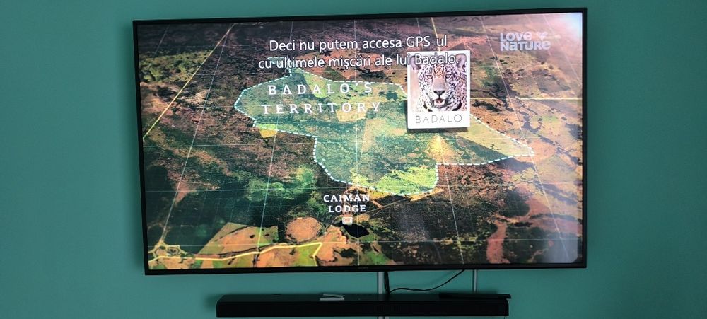 Soni Bravia 4K, 164 diagonală