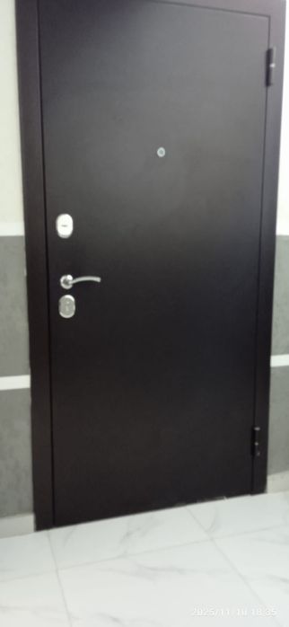 Входная Железная дверь