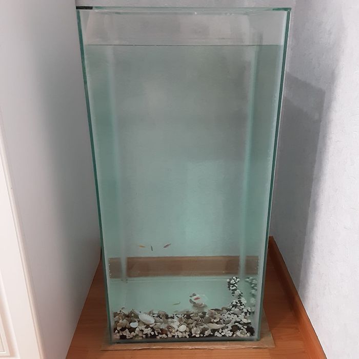 Аквариум вертикалъный