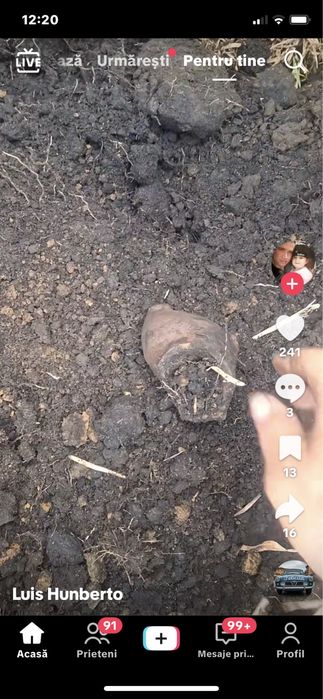 Orz 2025 Sauca curat bun de samanta