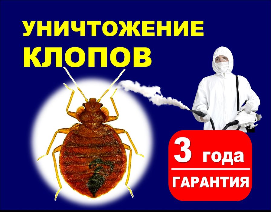 Дезинфекция КЛОПЫ Семей | СЭС Семей