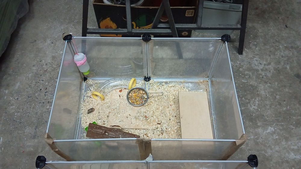 Hamster cu cușcă 3 buc
