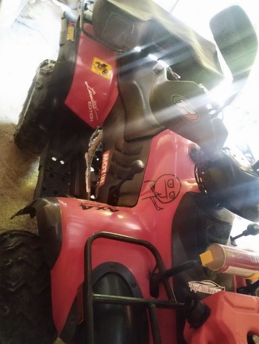 Linhai 300 worker