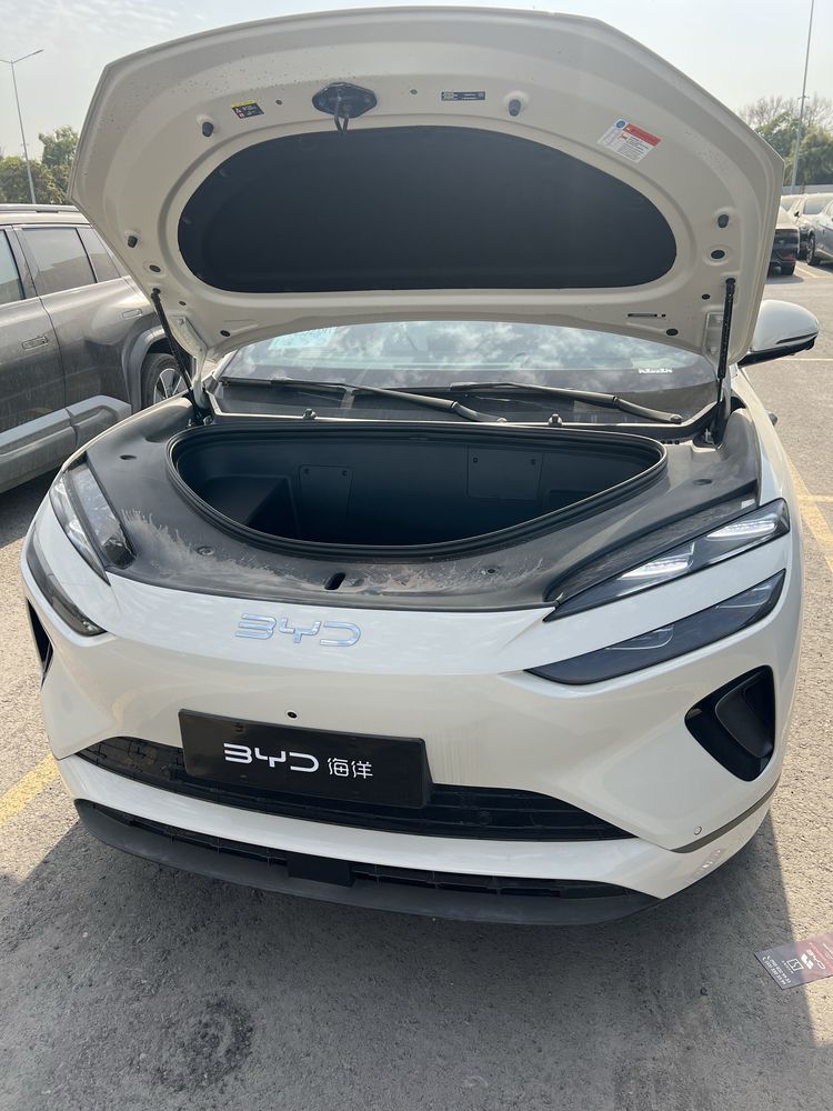 pradyotsya byd sealion 06 605 plus eng fuli 31000$