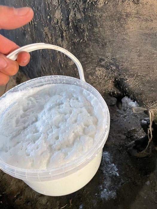 Домашно прясно биволско сирене
