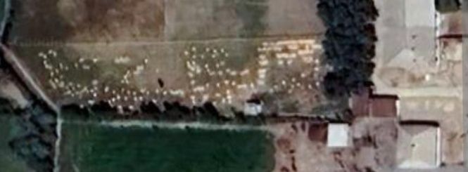 Боевут туман 3 боевут А.Темир МФЙ да 9 сотих ер 3 хона 60% битган. Уй