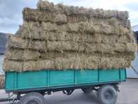 Baloți de lucernă coasa a 3a
