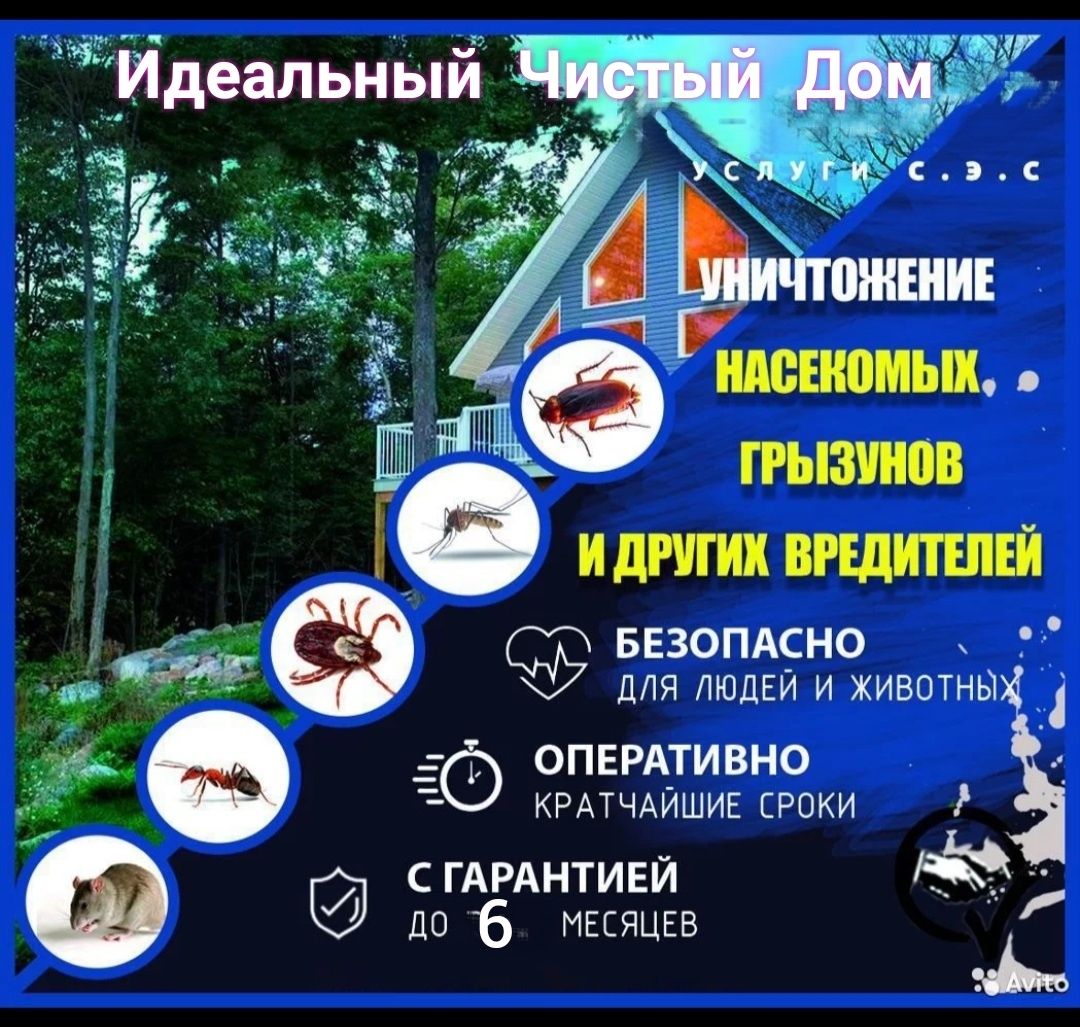 Уничтожение КЛОПОВ в Уральске.