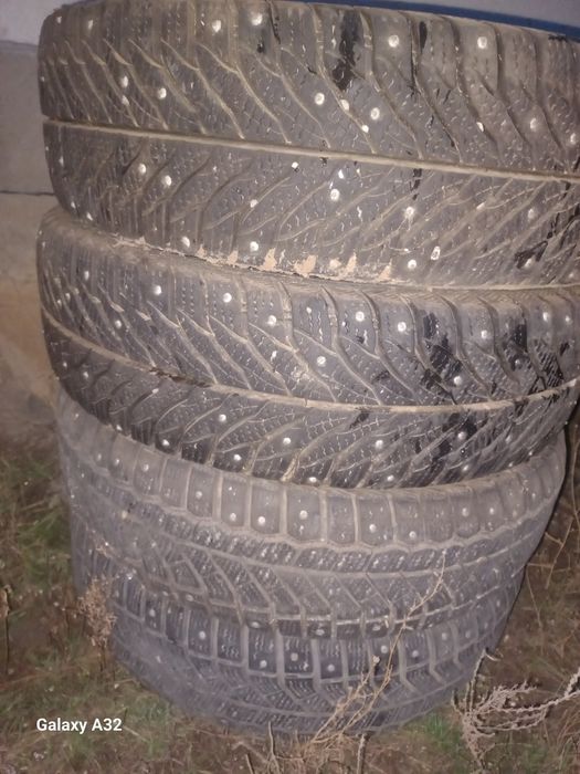 Догалак сатылады общий 50 ге