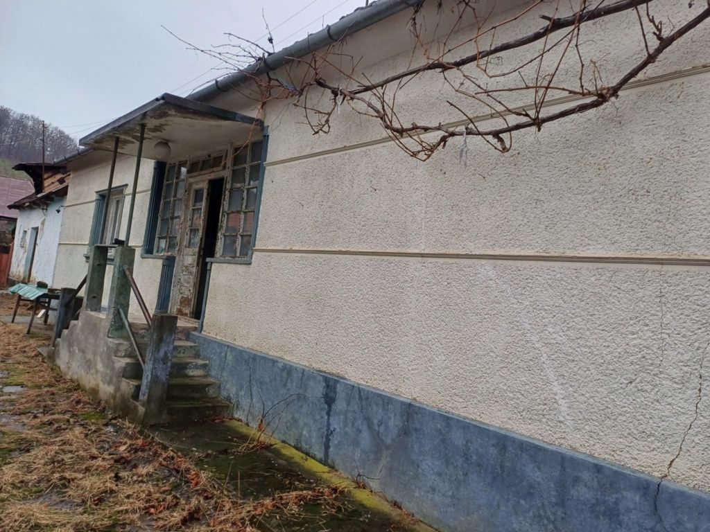 Vând casă în Derna