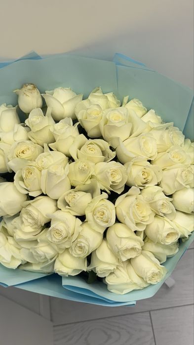 Голландские розы,51 штук