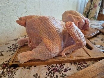 Продам мясо кур.