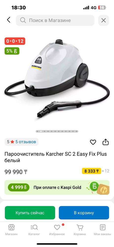 Пароочиститель Karcher