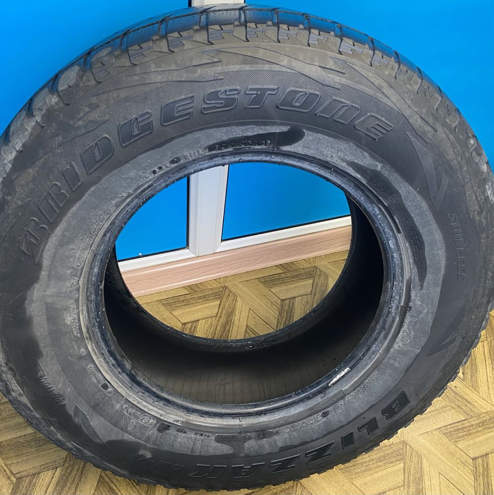 Шины Bridgestone Blizzak DM-V1