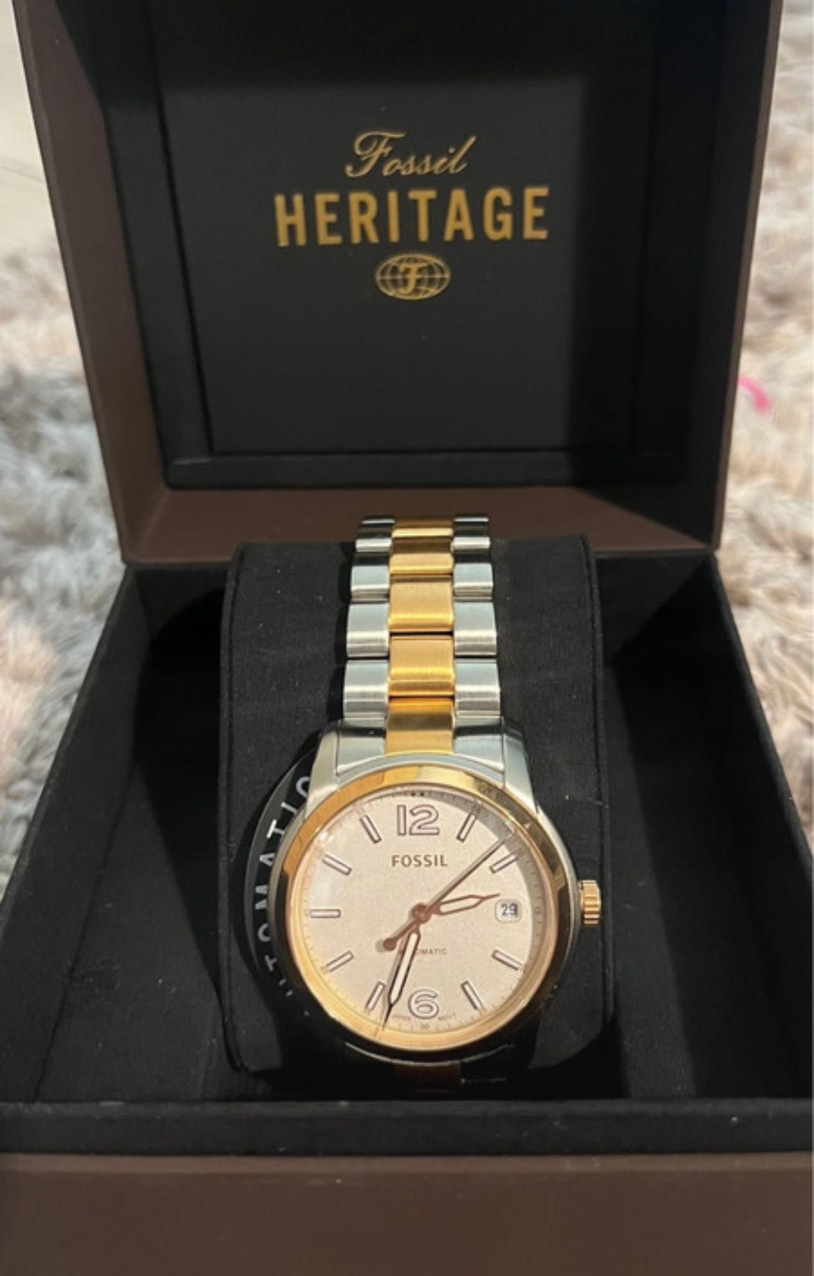 Ceas Fossil Heritage