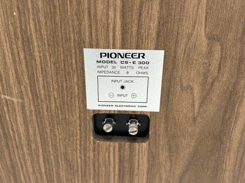 Boxe Vintage Pioneer CS-E-300