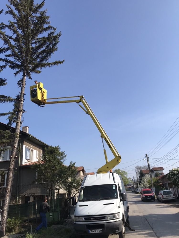 Автовишки под наем.Рязане на опаснни дървета!