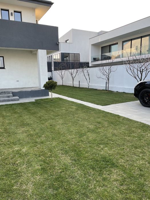 Amenajari spati verzi , gazoane si Mentenanta Gradini !!!