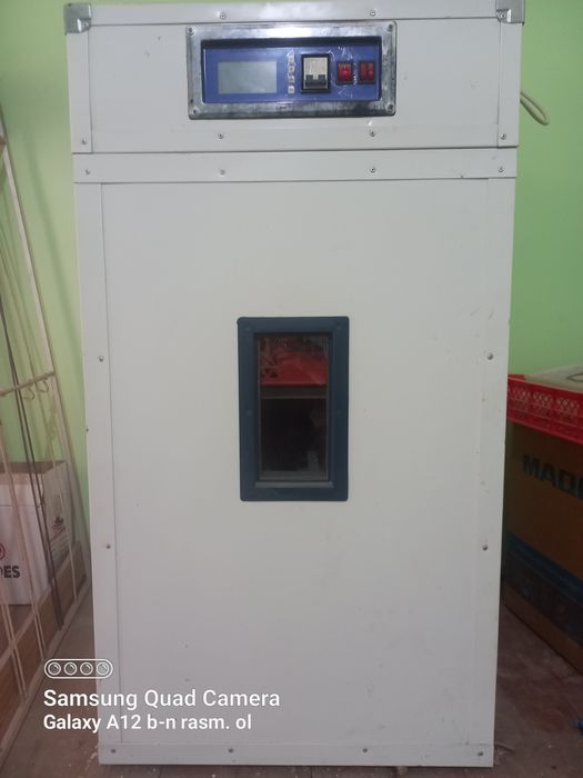 Inkubator 350 talik xolati alo