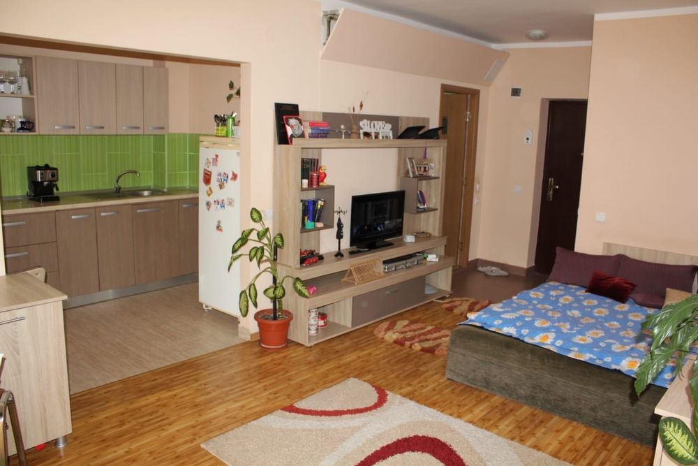 Inchiriez apartament cu 1 camera in Floresti