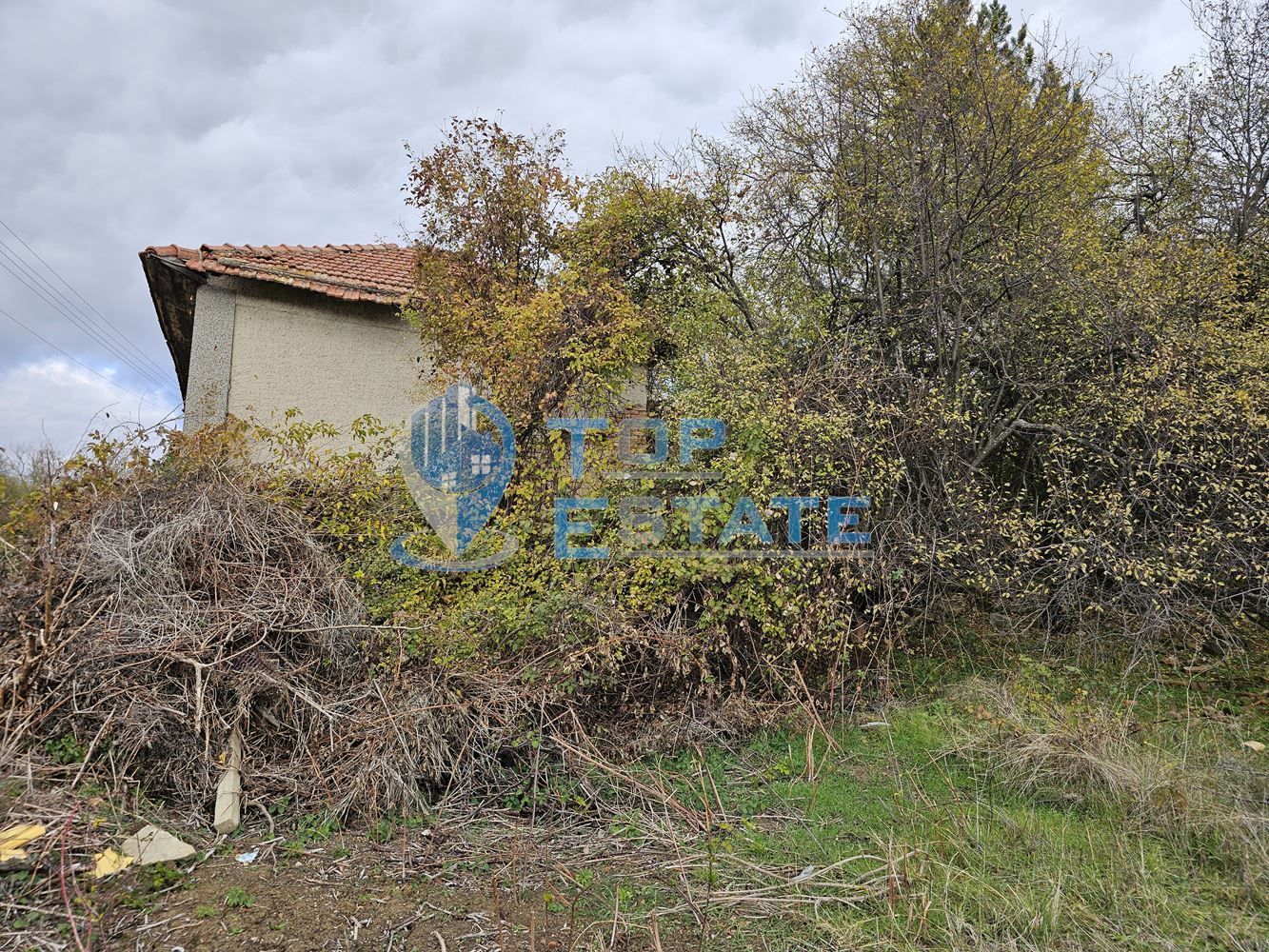 Голям парцел със стара къща в село Ново градище, община Стражица