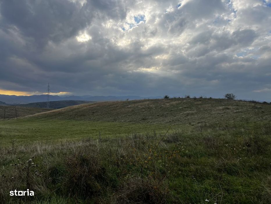 Teren extravilan, 5000 mp, Ciurila