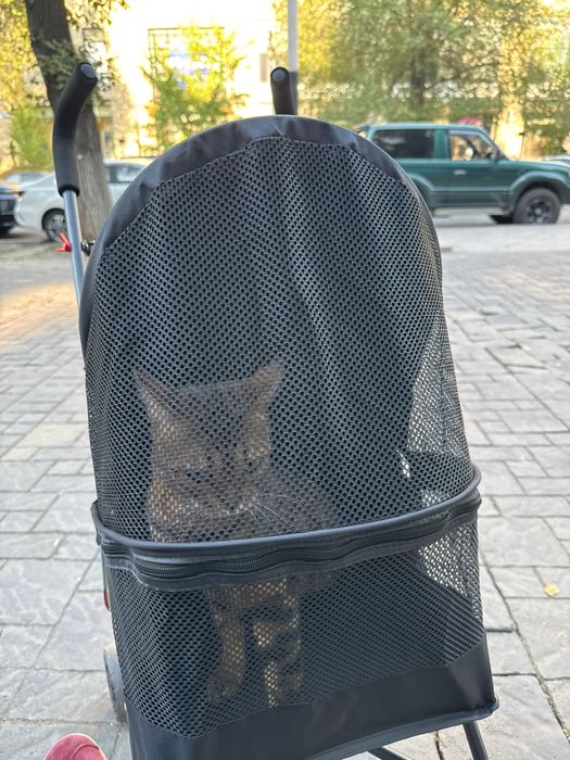 Коляска-переноска для собак/кошек