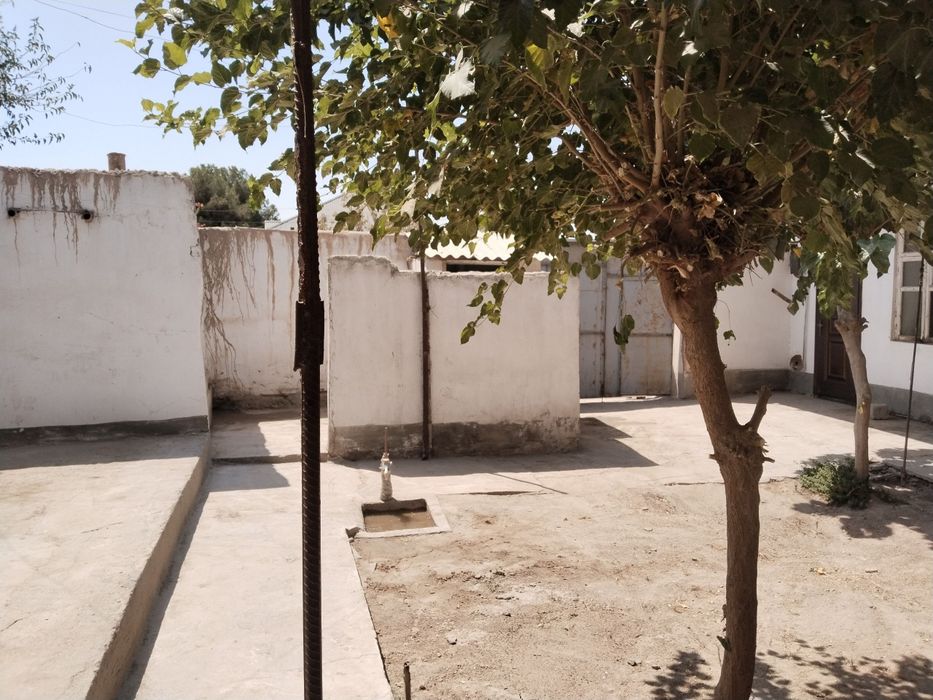 Termiz sh Baynal minal mahallasini tugrisidagi kuchada hovli uy tezda