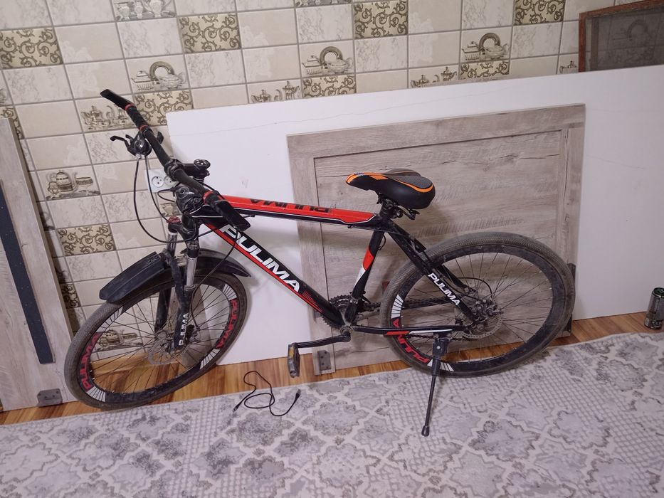 Pulima velik sotiladi