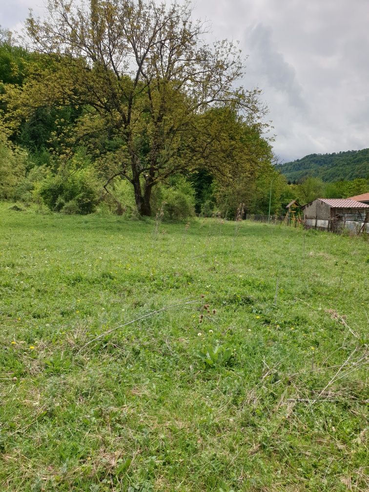 Продава се Парцел в с. Черни Осъм, Област Ловеч - 1537 кв.м за 9 €/кв.м - Снимка #7