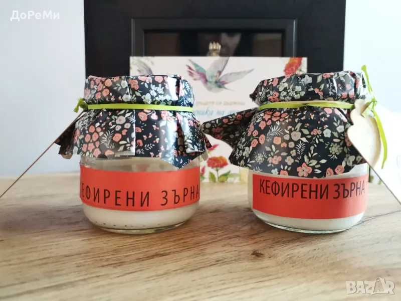 КЕФИР  тибетски кефирни зърна