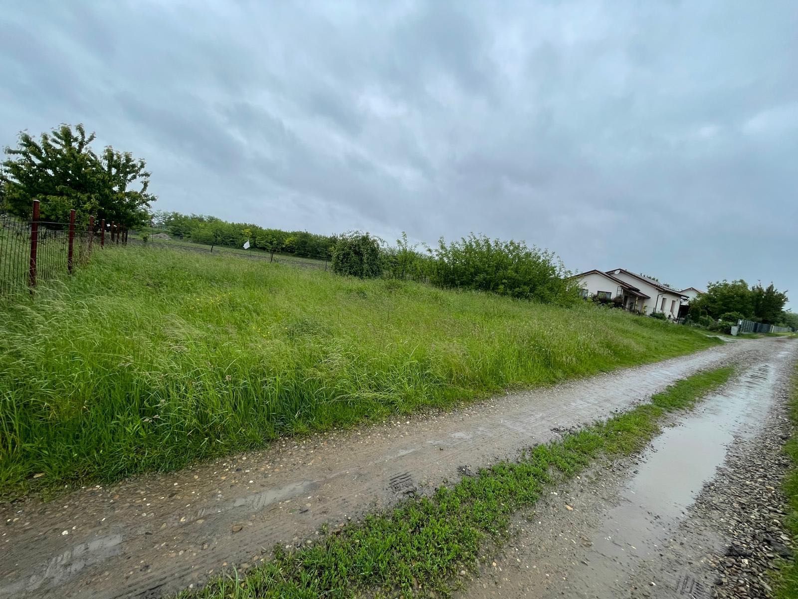 Teren Intravilan Catamaresti Deal 700 mp
