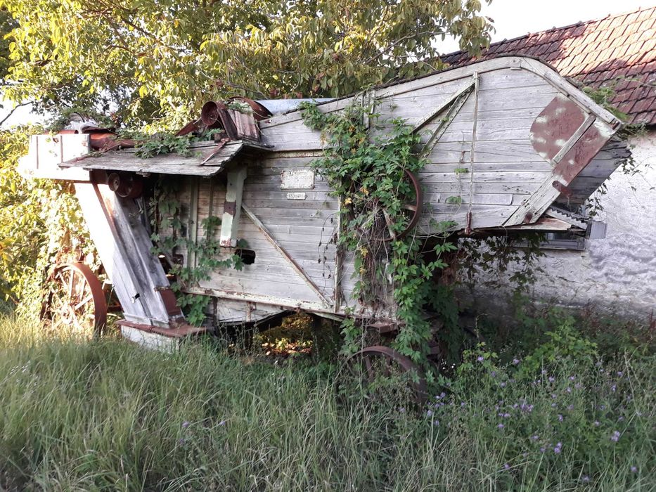 Batoza De Treierat Cereale Foarte Veche